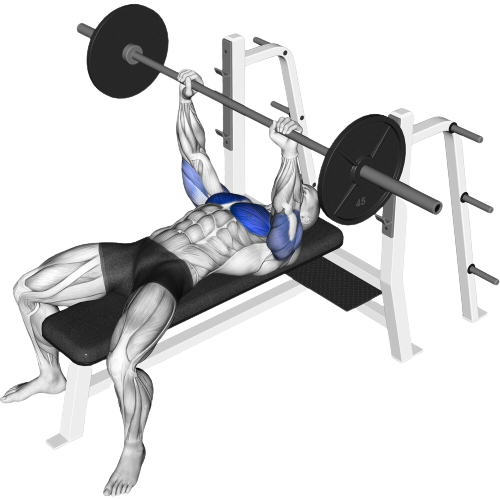 Barbell Bench Press Starting Motion