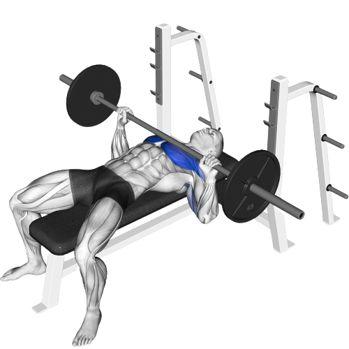 Barbell Bench Press Ending Motion