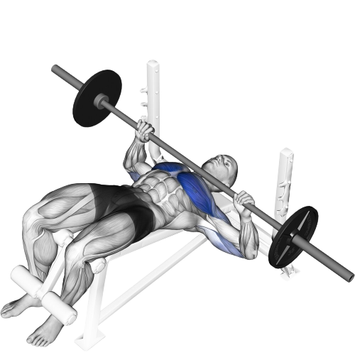 Decline Barbell Bench Press Ending Motion