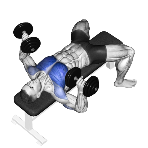 Dumbbell Bench Press Ending Motion