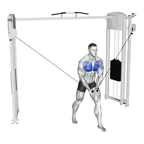 High Cable Crossover Ending Motion
