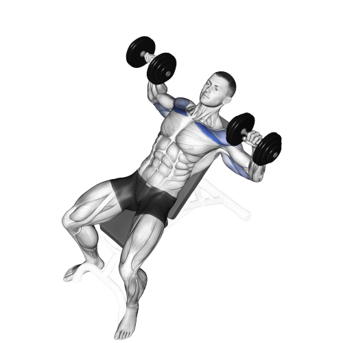 Incline Dumbbell Bench Press Ending Motion