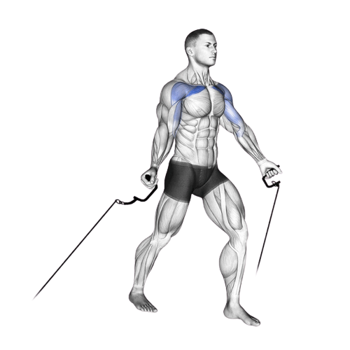 Low Cable Crossover Starting Motion