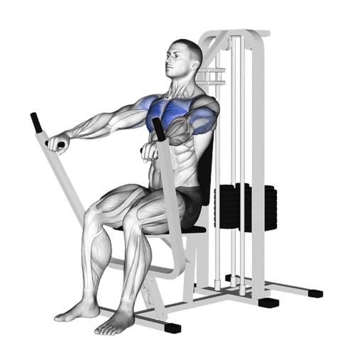 Machine Chest Press Ending Motion