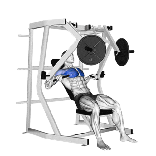 Machine Decline Chest Press Starting Motion